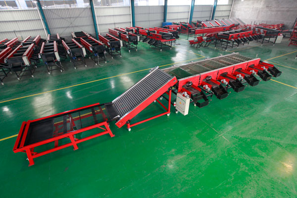 麻豆网神马久久人鬼片分選機