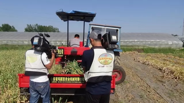 麻豆网神马久久人鬼片收獲機