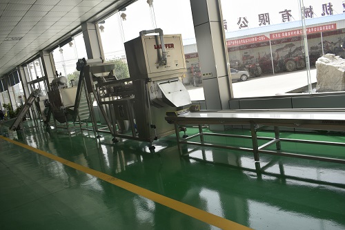蒜米加工設備